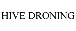HIVE DRONING trademark