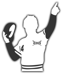 14 4256 trademark