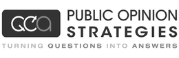 PUBLIC OPINION STRATEGIES TURNING QUESTIONS INTO ANSWERS trademark
