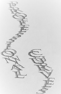 PROFESSIONAL CURVES trademark