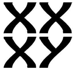 XXXY trademark