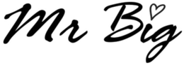 MR BIG trademark