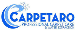 CARPETARO PROFESSIONAL CARPET CARE & WATER EXTRACTION trademark