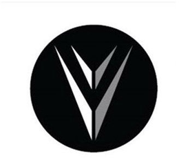 V V trademark