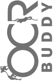 OCR BUDDY trademark