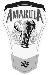 AMARULA trademark