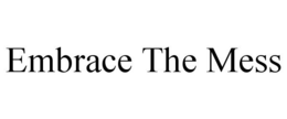 EMBRACE THE MESS trademark