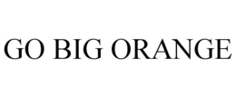 GO BIG ORANGE trademark