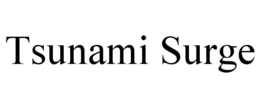 TSUNAMI SURGE trademark