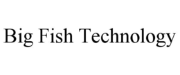 BIG FISH TECHNOLOGY trademark