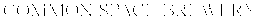 COMMON SPACE BREWERY trademark