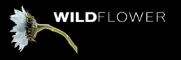 WILDFLOWER trademark