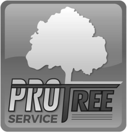 PRO TREE SERVICE trademark