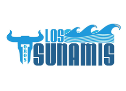 TOROS LOS TSUNAMIS trademark