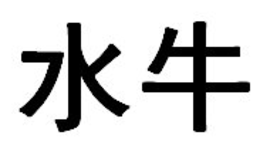 SHUINIU trademark