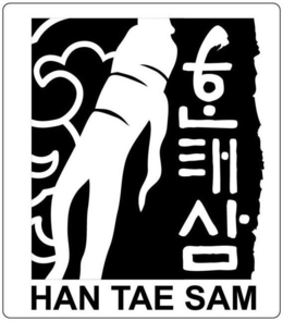 HAN TAE SAM trademark