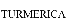 TURMERICA trademark