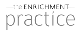 -THE ENRICHMENT PRACTICE- trademark