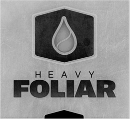 HEAVY FOLIAR trademark
