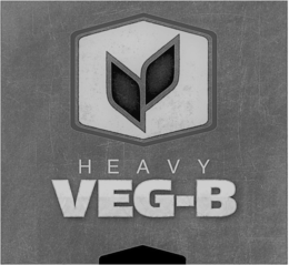 HEAVY VEG-B trademark