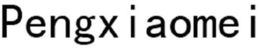 PENGXIAOMEI trademark