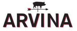 ARVINA trademark