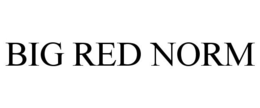 BIG RED NORM trademark