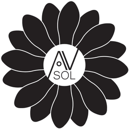 A V SOL trademark