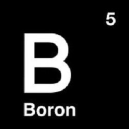 B BORON 5 trademark