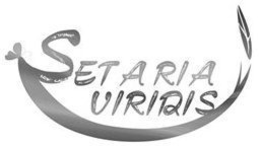 SETARIA VIRIDIS trademark