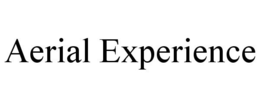 AERIAL EXPERIENCE trademark