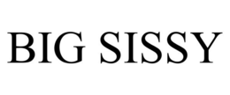BIG SISSY trademark