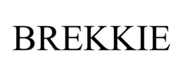 BREKKIE trademark