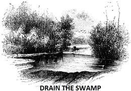 DRAIN THE SWAMP trademark