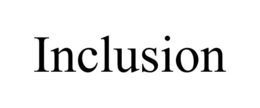 INCLUSION trademark