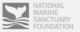 NATIONAL MARINE SANCTUARY FOUNDATION trademark