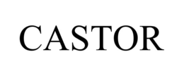 CASTOR trademark