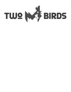 TWO BIRDS trademark