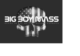 BIG BOY MASS SUPER HEAVY WEIGHT GAINER FORMULA trademark