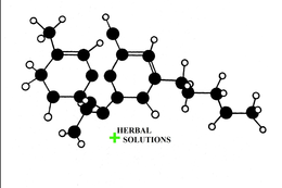 HERBAL SOLUTIONS trademark