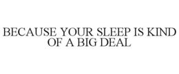BECAUSE YOUR SLEEP IS KIND OF A BIG DEAL trademark