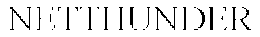NETTHUNDER trademark