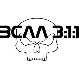 BCAA 3:1:1 trademark