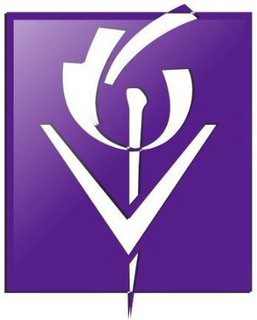 V trademark