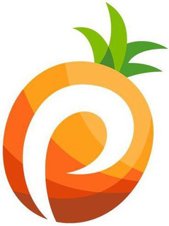 P trademark