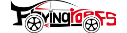 FLYING ROOFS trademark