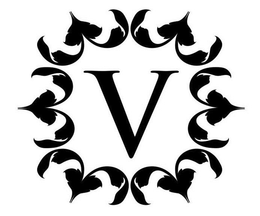 V trademark