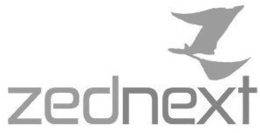Z ZEDNEXT trademark