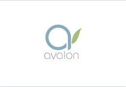 A AVALON trademark