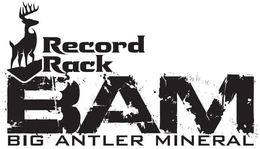 RECORD RACK BAM BIG ANTLER MINERAL trademark